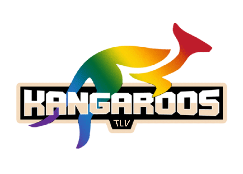 פונקציונאלי