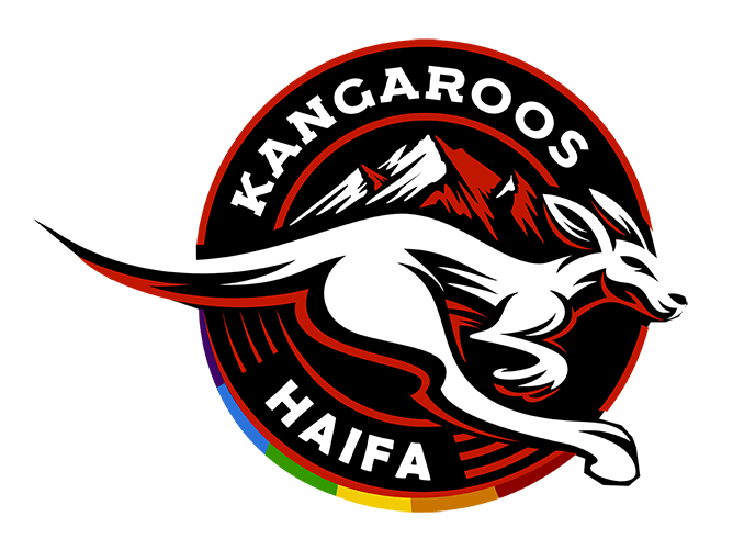 פונקציונאלי